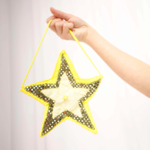 Shining Star Mini Purse